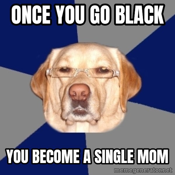 Racist Dawg meme: once you go black / you become a single mom