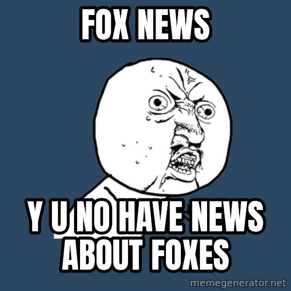 Y U No meme: fox news / y u no have news about foxes