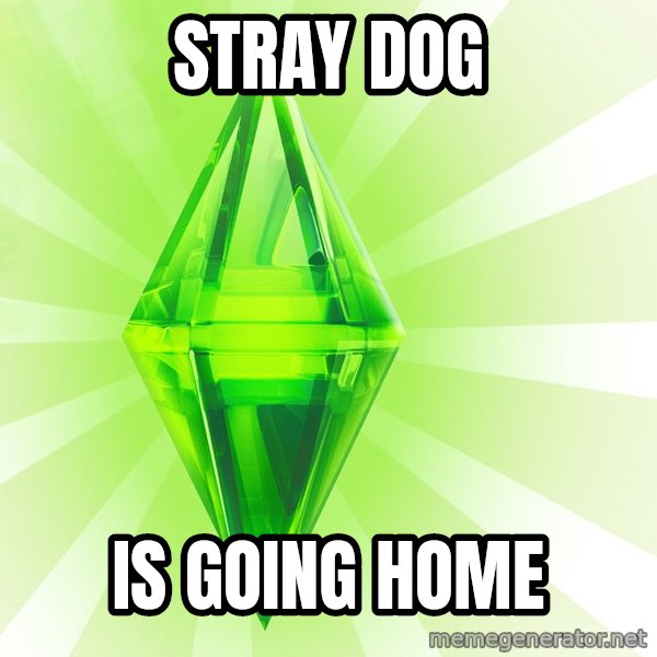 Sims meme: stray dog / is going home