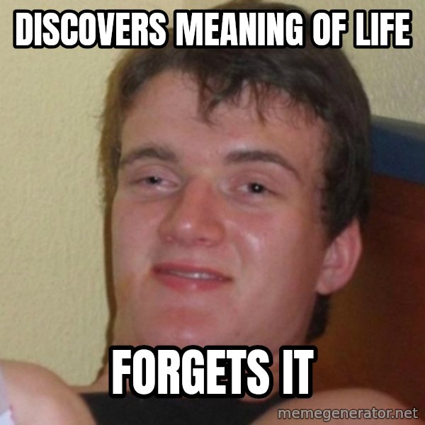 Really Stoned Guy meme: DISCOVERS MEANING OF LIFE / FORGETS IT