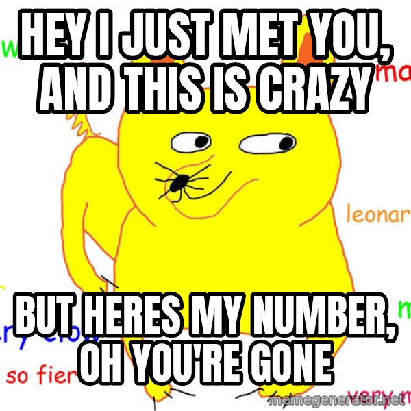 Forever Alone meme: hey i just met you, and this is crazy / but heres my number, oh you're gone