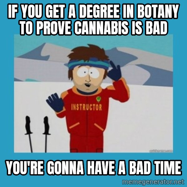 you're gonna have a bad time guy meme: If you get a degree in botany to prove cannabis is bad / you're gonna have a bad time
