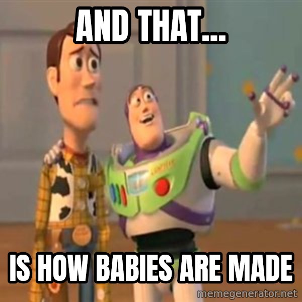X, X Everywhere  meme: And that... / is how babies are made