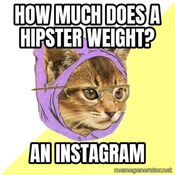 Hipster Kitty meme: How much does a hipster weight? / an instagram