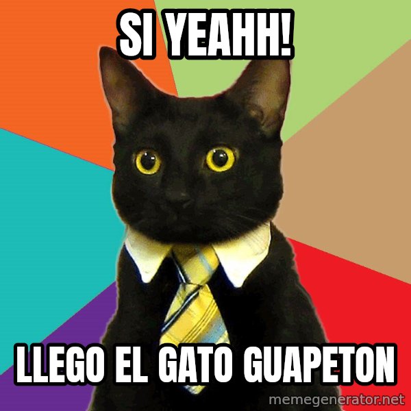Business Cat meme: si yeahh! / llego el gato guapeton