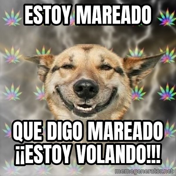 Stoner Dog meme: ESTOY MAREADO / QUE DIGO MAREADO ¡¡ESTOY VOLANDO!!!