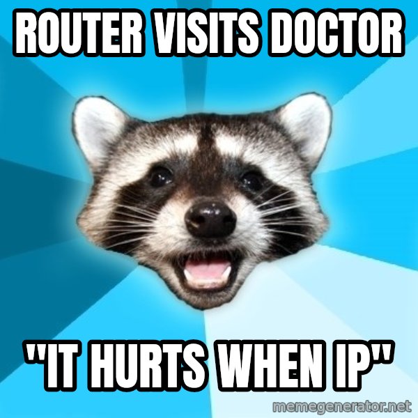 Lame Pun Coon meme: ROuter visits doctor / "It hurts when IP"