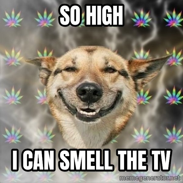 Stoner Dog meme: So HIGh / I can smell the TV