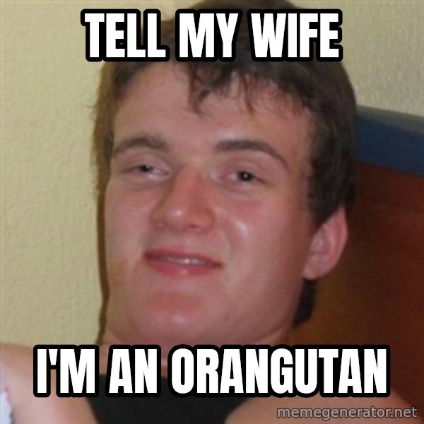 Really highguy meme: TELL MY WIFE / I'M AN orangutan