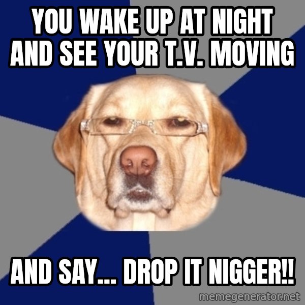 Racist Dog meme: YOu wake up at night and see your t.v. Moving / And say... Drop it nigger!!