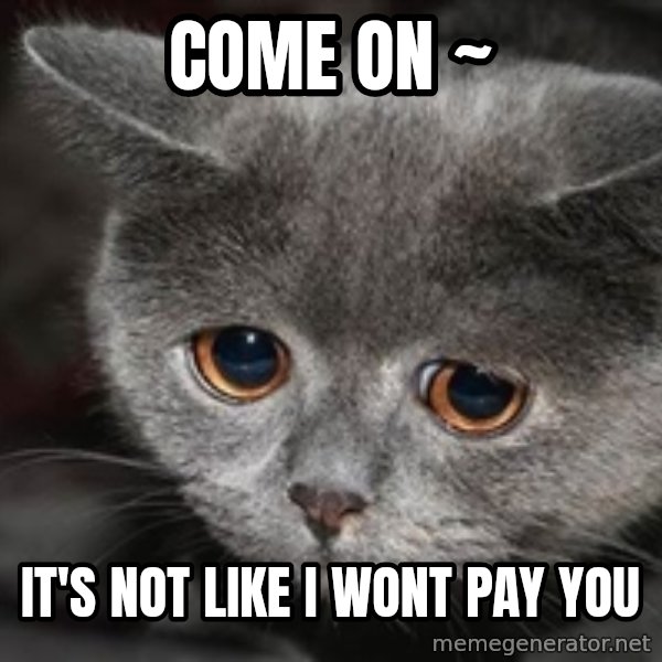Sadcat meme: come on ~ / it's not like i wont pay you