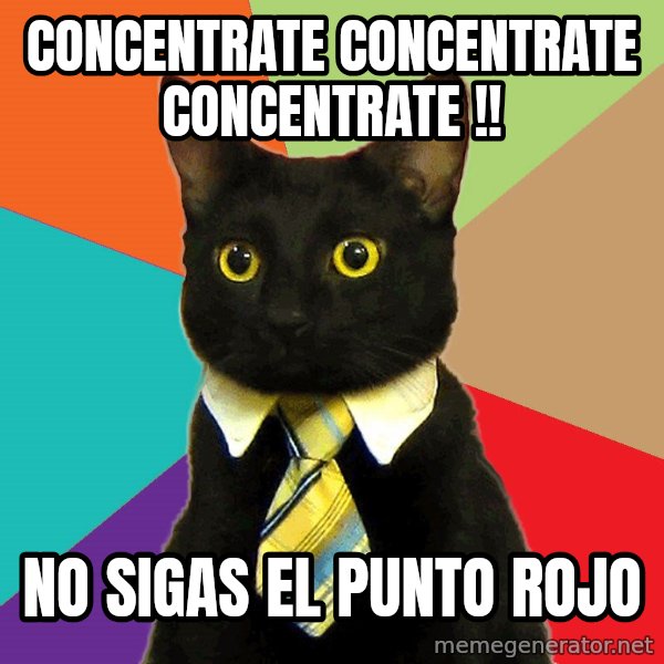 Business Cat meme: concentrate concentrate concentrate !! / no sigas el punto rojo