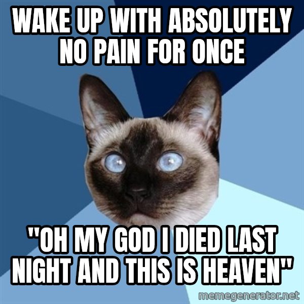 Chronic Illness Cat meme: Wake up with absolutely no pain for once / "oh my god I died last night and this is heaven"