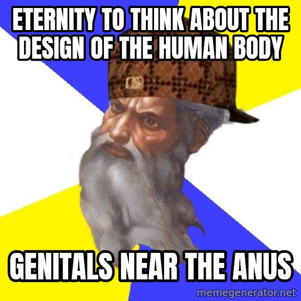 Scumbag God meme: ETERNITY TO THINK ABOUT THE DESIGN OF THE HUMAN BODY / GENITALS NEAR THE ANUS