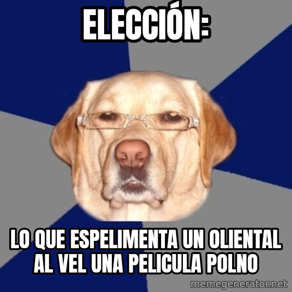 Racist Dawg meme: Elección: / Lo que espeLimenta un oLiental al vel una pelicula poLno