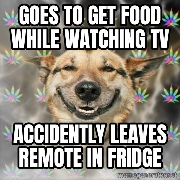 Stoner Dog meme: GOES TO GET FOOD WHILE WATCHING TV / ACCIDENTLY LEAVES REMOTE IN FRIDGE