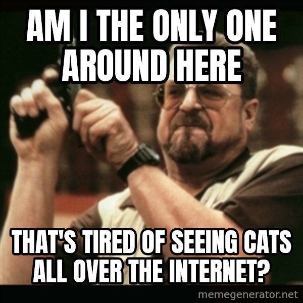 am i the only one around here meme: AM I THE ONLY ONE AROUND HERE / that's tired of seeing cats all over the internet?