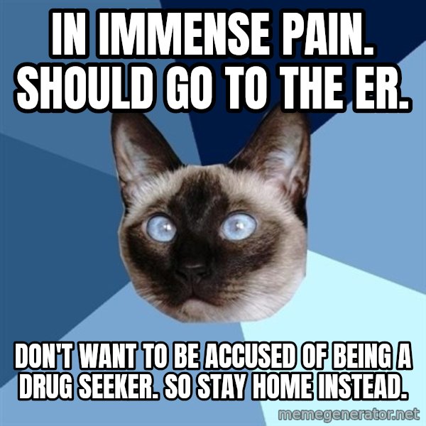 Chronic Illness Cat meme: In immense pain. Should go to the ER. / Don't want to be accused of being a drug seeker. So stay home instead.