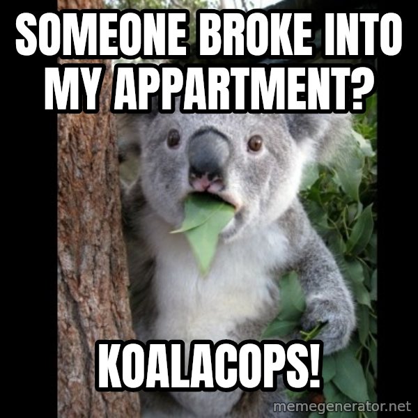 Koala can't believe it meme: Someone broke into my appartment? / Koalacops!