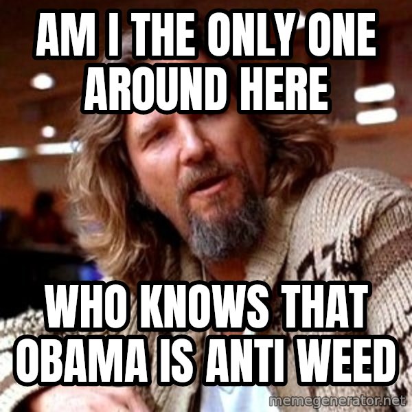 Big Lebowski meme: Am I the only one around here / who knows that Obama is anti weed