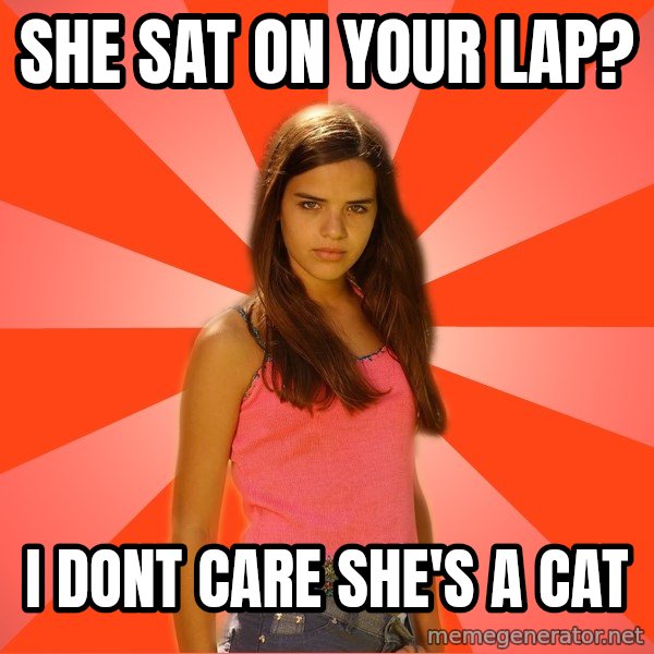Jealous Girl meme: she sat on your lap? / i dont care she's a cat