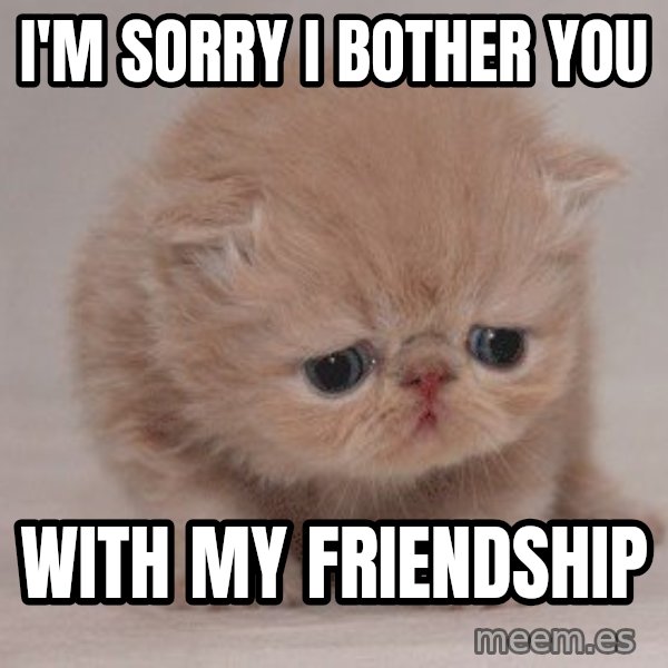 Super Sad Cat meme: I'm sorry I bother you / With my friendship