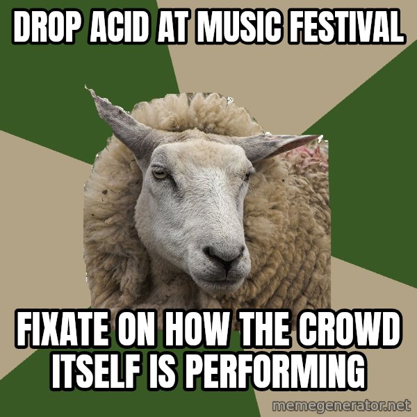 Sociology Student Sheep meme: drop acid at music festival / fixate on how the crowd itself is performing