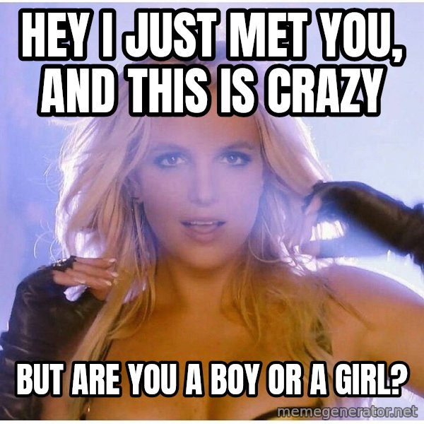 Professor Oak meme: hey I just met you, and this is crazy / but are you a boy or a girl?