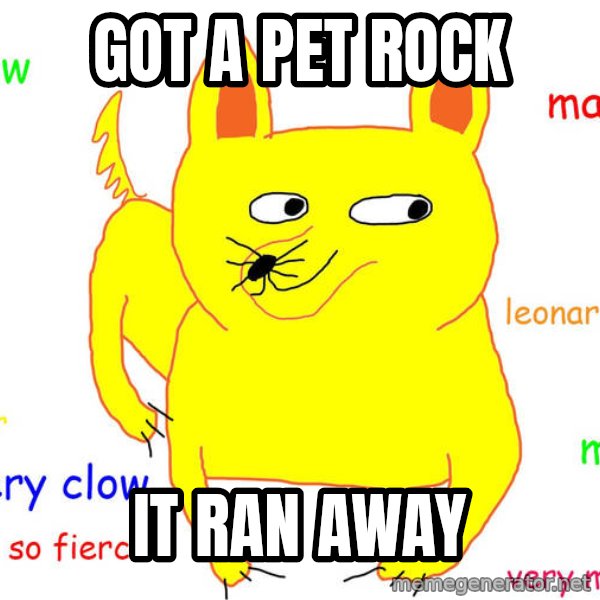 Forever Alone meme: got a pet rock / it ran away