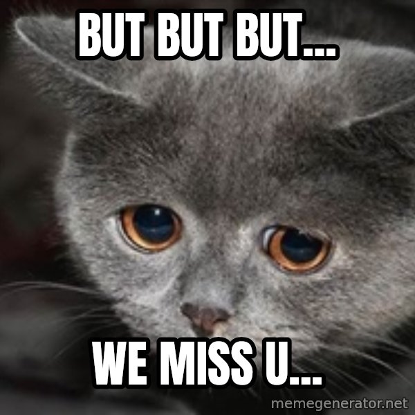 Sadcat meme: BUT but but... / we miss u...