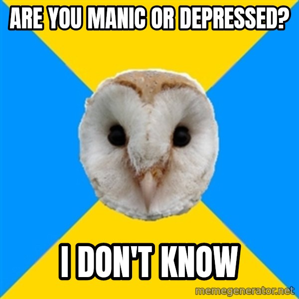Bipolar Owl meme: are you manic or depressed? / i don't know