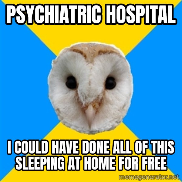 Bipolar Owl meme: Psychiatric hospital / I could have done all of this sleeping at home for free