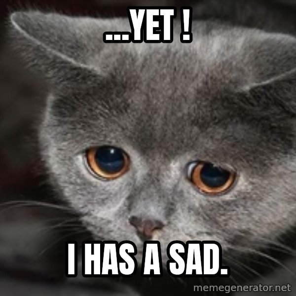 Sadcat meme: ...Yet ! / i has a sad.