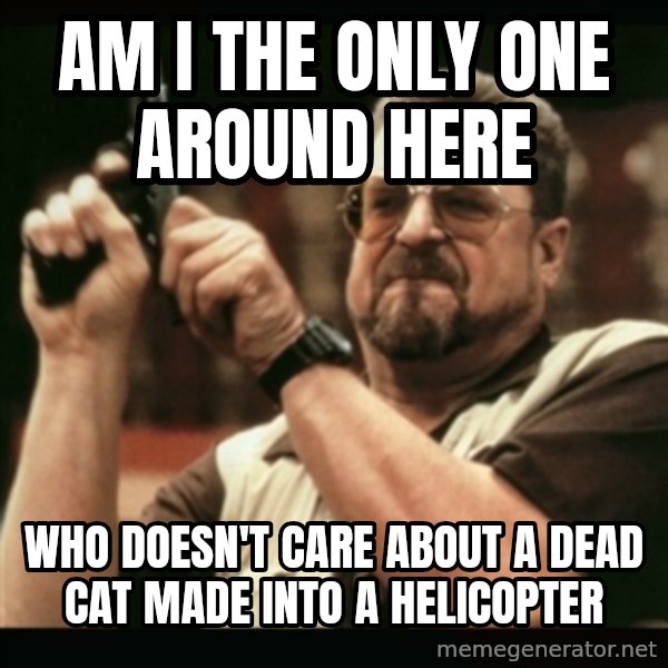 am i the only one around here meme: am i the only one around here / who doesn't care about a dead cat made into a helicopter