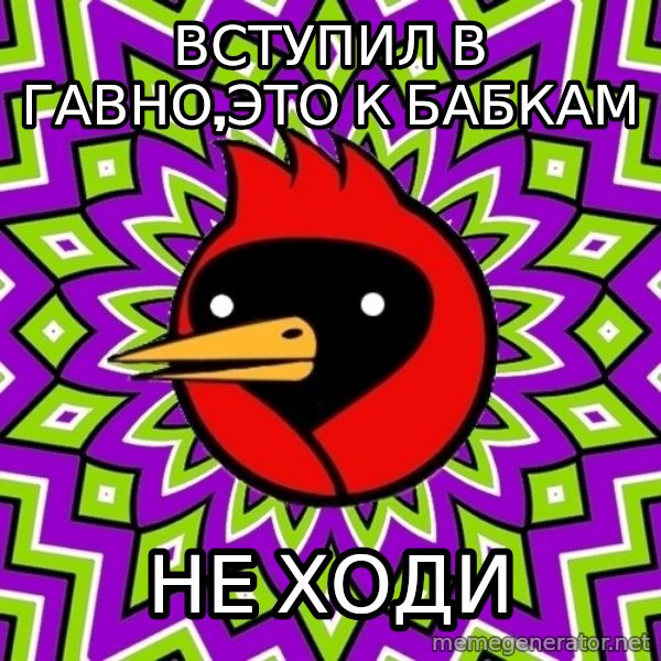 Omsk Crow meme: вступил в гавно,это к бабкам / не ходи