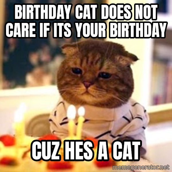 Birthday Cat meme: BIRTHDAY CAT DOES NOT CARE IF ITS YOUR BIRTHDAY / CUZ HES A CAT