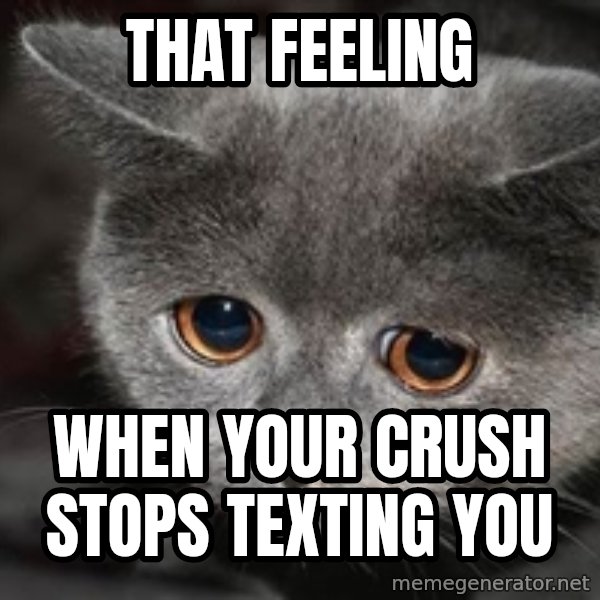 Sadcat meme: that feeling / when your crush stops texting you