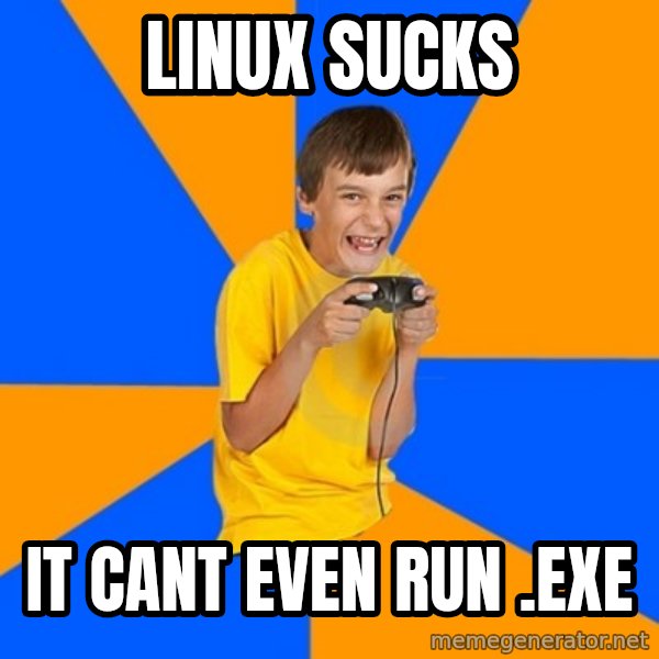Annoying Gamer Kid meme: LINUX SUCKS / IT CANT EVEN RUN .EXE