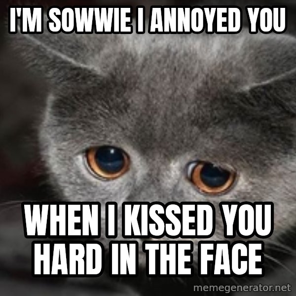 Sadcat meme: i'm sowwie i annoyed you / when i kissed you hard in the face