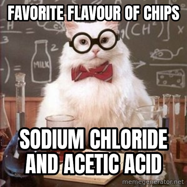 Chemistry Cat meme: Favorite flavour of chips / sodium chloride and acetic acid