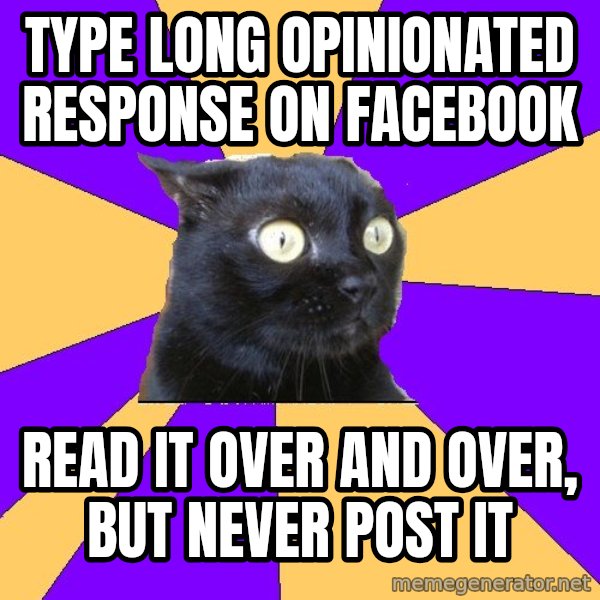 Anxiety Cat meme: type long opinionated response on facebook / read it over and over, but never post it