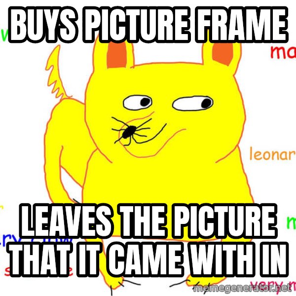 Forever Alone meme: Buys picture frame / Leaves the picture that it came with in