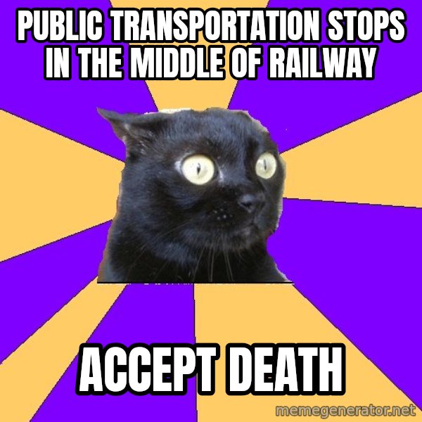 Anxiety Cat meme: public transportation stops in the middle of railway / accept death