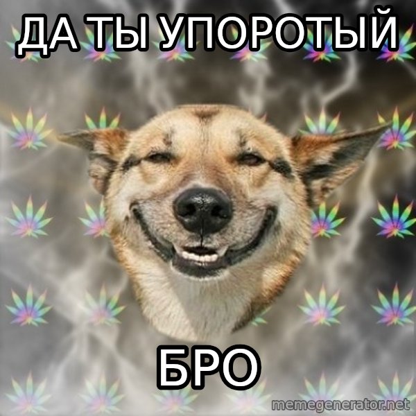 Stoner Dog meme: Да ты упоротый / Бро