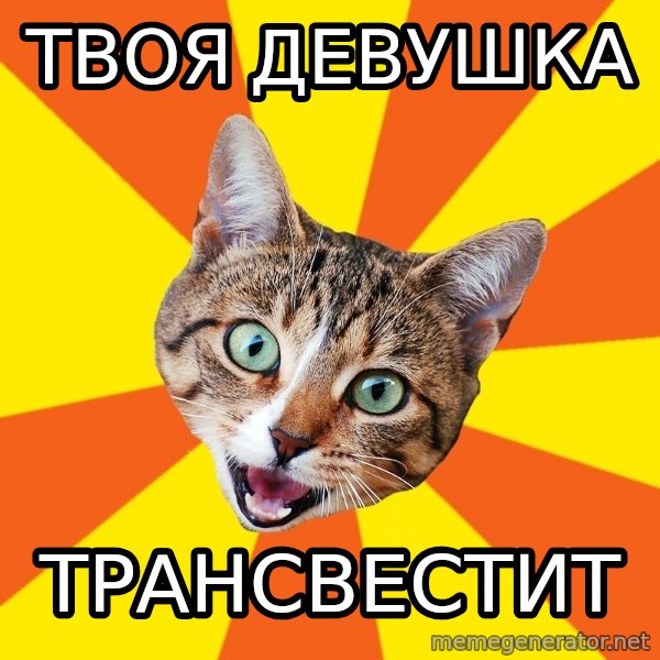 Bad Advice Cat meme: твоя девушка / трансвестит
