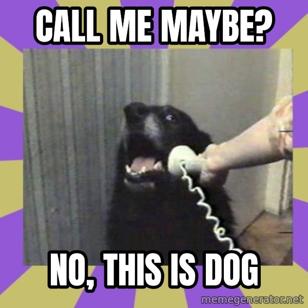 Yes, this is dog! meme: Call me maybe? / no, this is dog