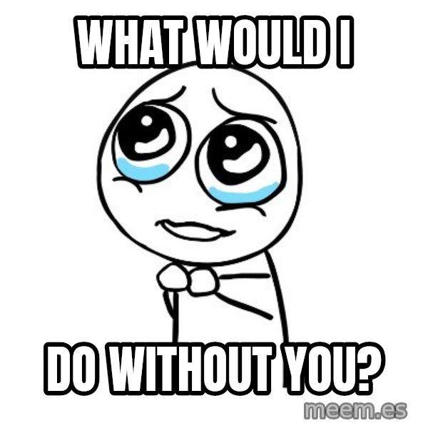 pleaseguy  meme: WHAT WOULD I / DO WITHOUT YOU?