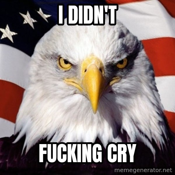 American Pride Eagle meme: i didn't / fucking cry