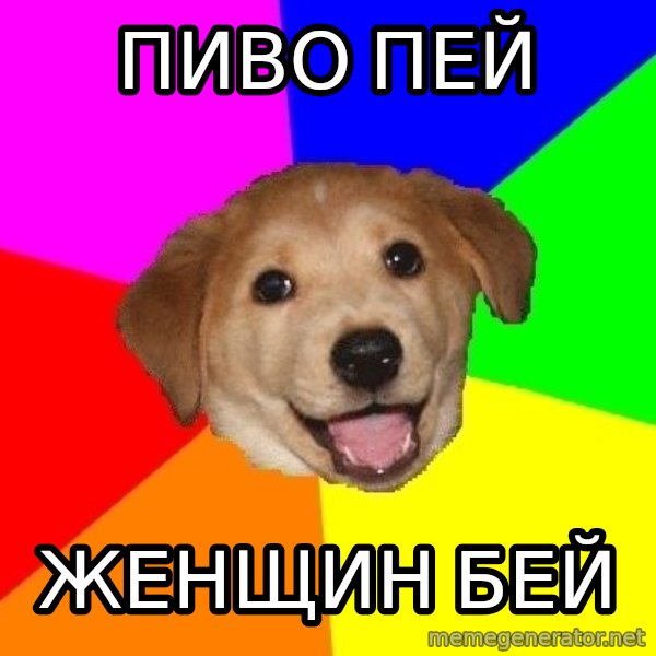 Advice Dog meme: ПИВО ПЕЙ / ЖЕНЩИН БЕЙ