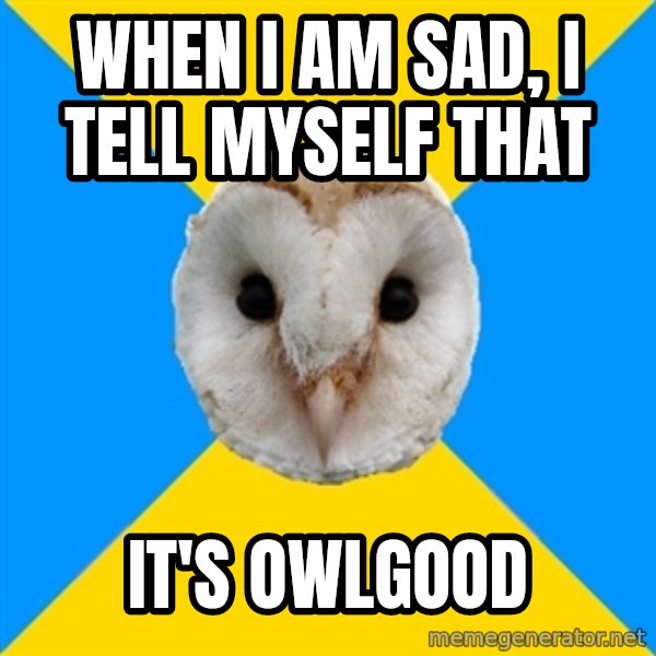 Bipolar Owl meme: when i am sad, i tell myself that / it's owlgood
